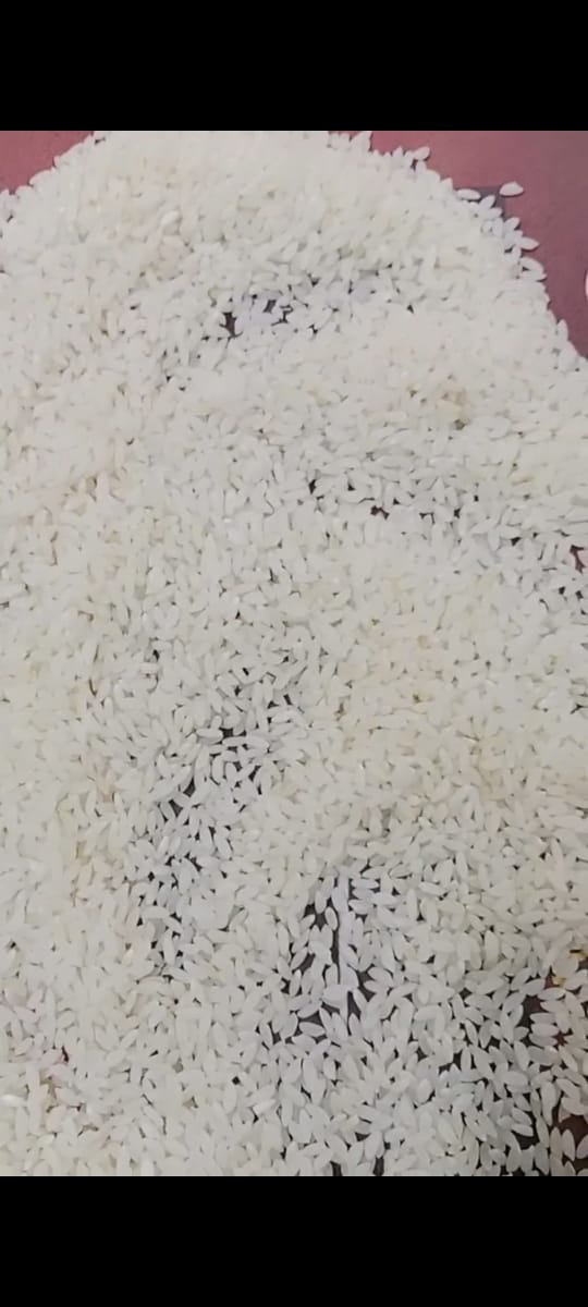 WhatsApp Image 2025-07-10 at 10.59.15 AM.jpeg